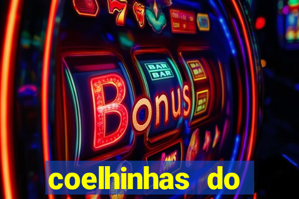 coelhinhas do brasil acompanhantes